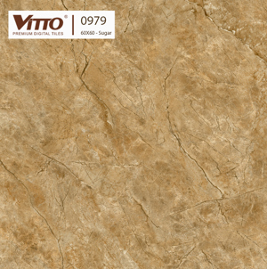 Gạch lát nền Vitto 60x60 0979