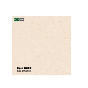 Gạch lát nền World Tiles 8305