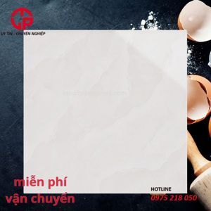 Gạch lát nền Ý Mỹ 60x60 EG628