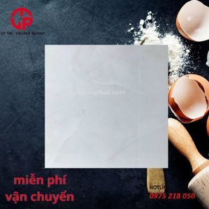 Gạch lát nền Ý Mỹ 80x80 F88003