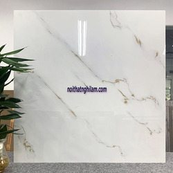 Gạch lát nền Catalan 800x800 8046