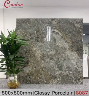 Gạch lát nền Catalan 800x800 8087