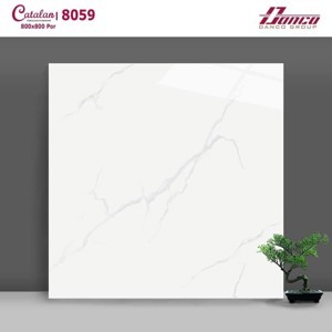 Gạch lát nền Catalan 80x80 8059