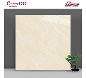 Gạch lát nền Catalan 80x80 8060