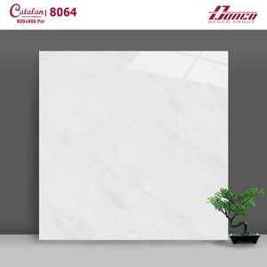 Gạch lát nền Catalan 80x80 8064