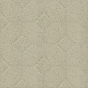 Gạch lát sân vườn 40x40 CTG4011-CP