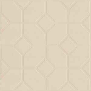 Gạch lát sân vườn 40x40 CTG4010-CP