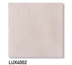 Gạch lát sân vườn 40x40 LUX4002