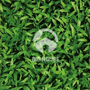 Gạch lát sân vườn CLG001 - 40x40 cm