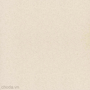 Gạch lát sân vườn Thanh Thanh 40x40 SB4038