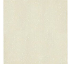 Gạch lát Taicera – P67763N (60×60)