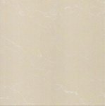 Gạch lát Taicera – P67763N (60×60)