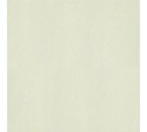 Gạch lát Taicera – P67763N (60×60)