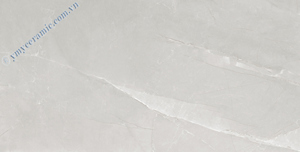 Gạch ốp tường Ý Mỹ P6128006 - 60x120