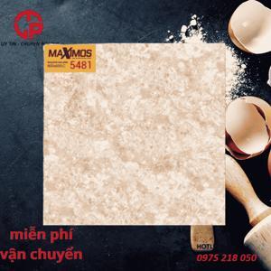 Gạch men Vitto 5481
