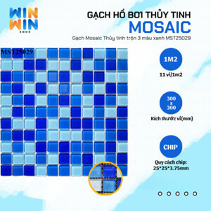 Gạch Mosaic MST25029