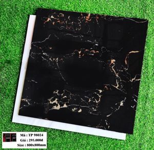 Gạch nhập khẩu 800x800mm TP98024