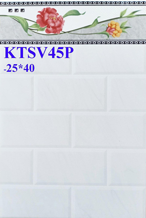 Gạch ốp lát 25x40 Prime KTSV45P