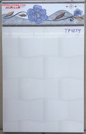 Gạch ốp lát 25x40 TPV254