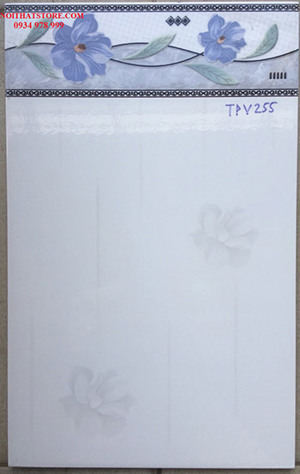 Gạch ốp lát 25x40 TPV255