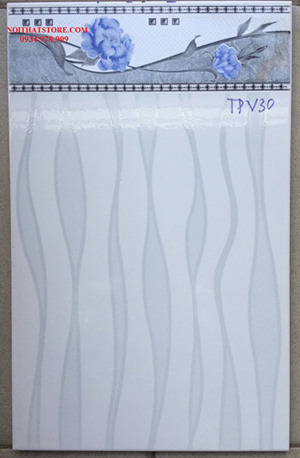 Gạch ốp lát 25x40 TPV30