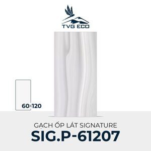 Gạch ốp lát 600×1200 Signature SIG.P-61207