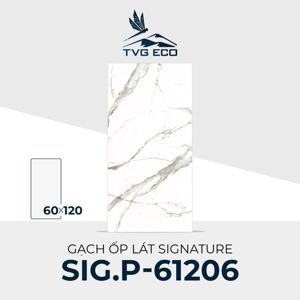Gạch ốp lát 600x1200 Signature SIG.P-61206