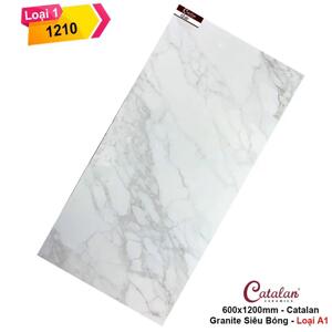 Gạch ốp lát 60×120 Catalan 1210