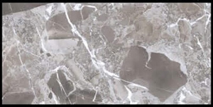 Gạch ốp lát Ấn Độ 60x120 VA-6212D