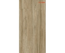 Gạch ốp lát Apodio 60x120 61333009