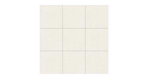 Gạch ốp lát Đồng Tâm 3030GECKO002