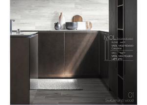 Gạch ốp lát  Eurotile 15×90 MOL MO2