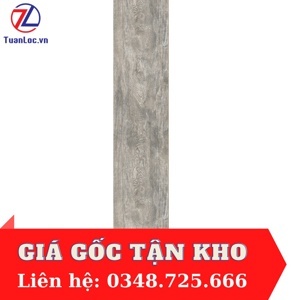 Gạch ốp lát Eurotile 20×120 MMI K02