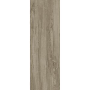 Gạch ốp lát Eurotile MOC D03