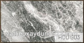 Gạch ốp lát granite Eurotile Hoa Đá HOD G03