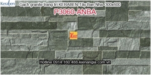 Gạch ốp lát Keraben P3060 ANBA