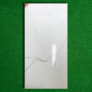 Gạch ốp lát Prime 60×120 8321