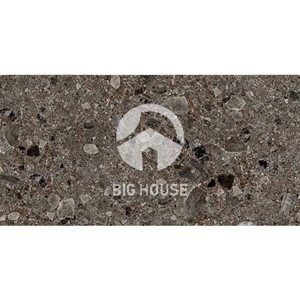 Gạch ốp lát Royal Hoàng Gia 60x120 612420034