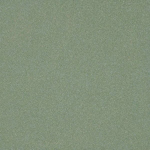 Gạch ốp lát Taicera G49042 (40×40)