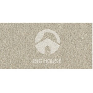 Gạch ốp lát Taicera G63522 - 30x60 cm