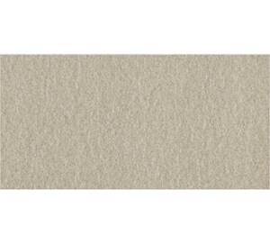 Gạch ốp lát Taicera G63522 - 30x60 cm