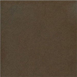 Gạch ốp lát Taicera – G68911 (60x60)