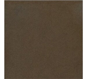 Gạch ốp lát Taicera – G68911 (60x60)