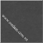 Gạch ốp lát Taicera - G68919 (60x60)