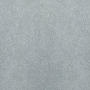 Gạch ốp lát Taicera - G68991S (60x60)