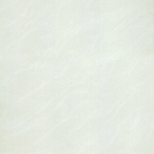 Gạch ốp lát Taicera – P67025N (60x60)