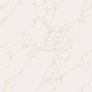 Gạch ốp lát Taicera - P67594N (60x60)