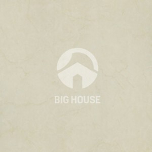 Gạch ốp lát Taicera - P67594N (60x60)