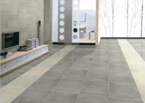 Gạch ốp lát Taicera TKG 30×60 G63118