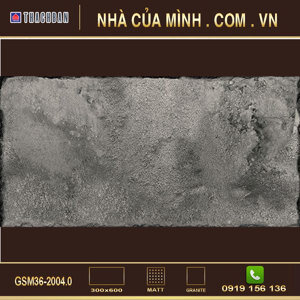 Gạch ốp lát Thạch Bàn GSM36-2004.0